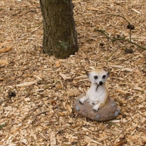 VERDOBA Gartendeko Safari Gartenfigur Erdmännchen aus Dem Erdloch