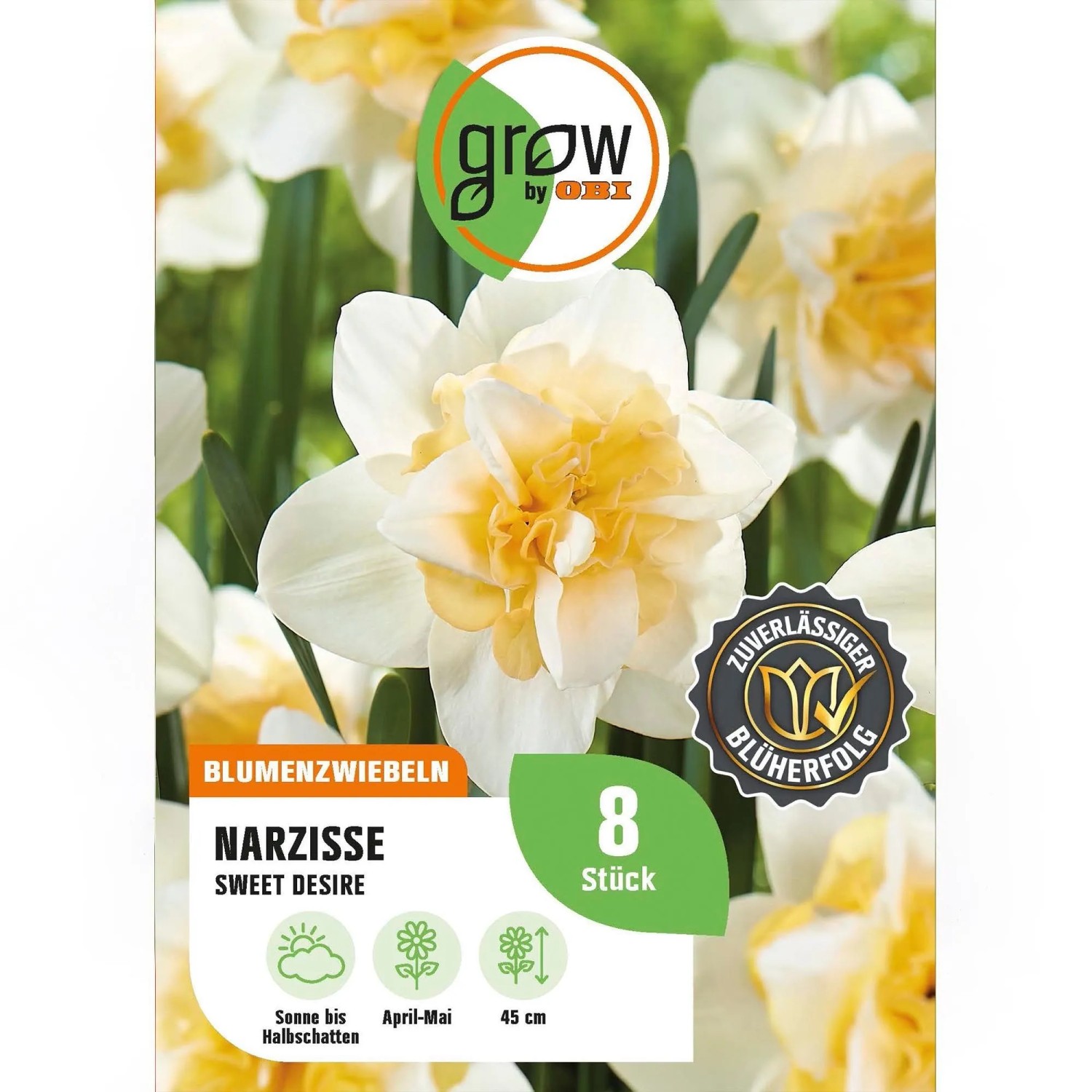 GROW by OBI Narzisse Sweet Desire Gelb 7 St.Narcissus split corona Sweet Desire