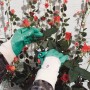 Gartenarbeit mit LUX Nitrilhandschuhen S: Grüne Handschuhe beim Rosenschneiden.