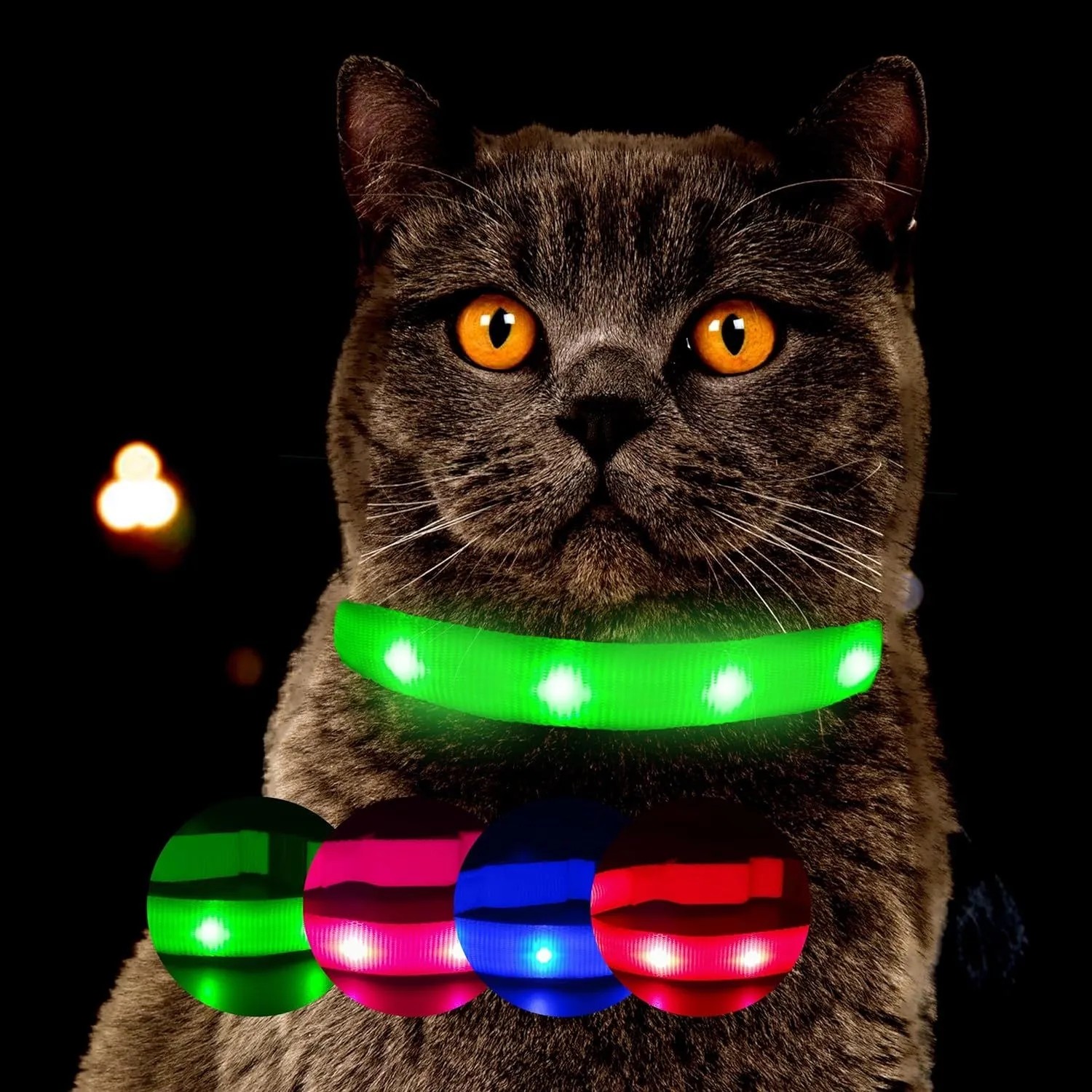 Grünes, leuchtendes Katzenhalsband an Katze, für sichere Sichtbarkeit bei Nacht. USB aufladbar. Weitere Farben sichtbar.