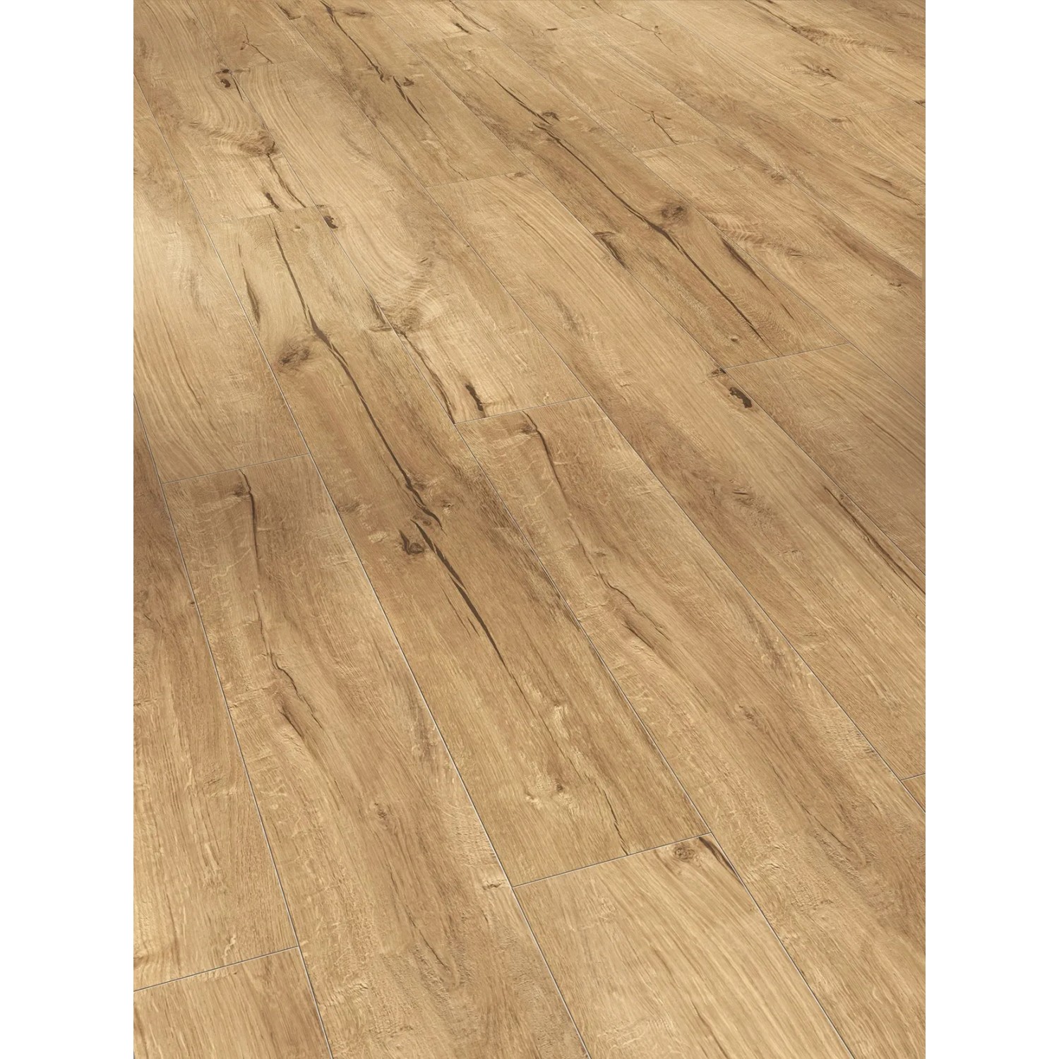 Parador Laminat Trendtime 1 Eiche Century Natur, 8mm stark. Laminatboden in Holzoptik.
