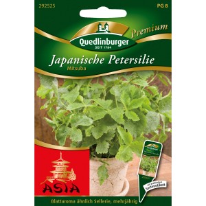 Samenpackung Quedlinburger Japanische Petersilie Mitsuba, mehrjährige Kräutersamen.