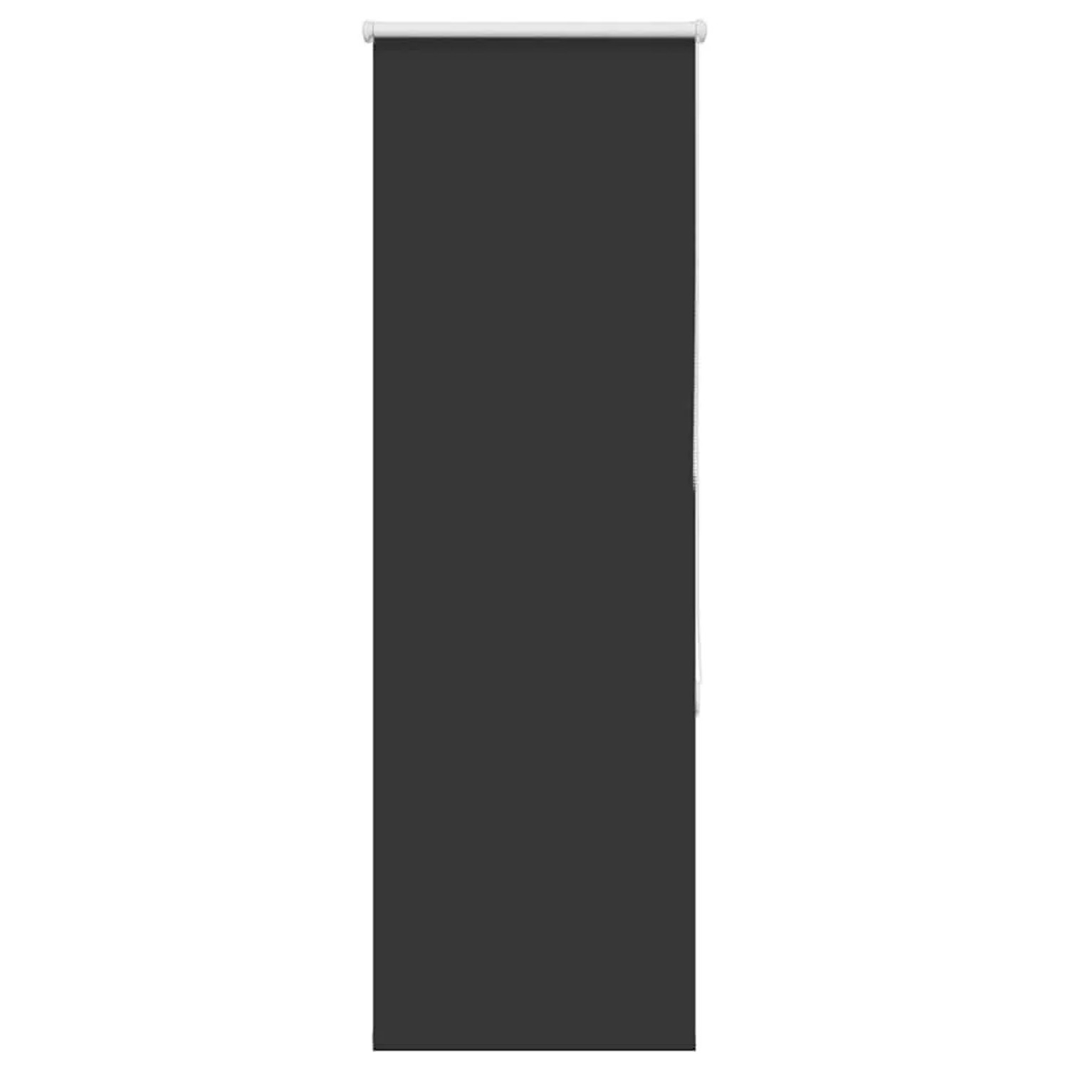 vidaXL Verdunkelungsrollo Schwarz 55x150 cm Stoffbreite 50,7 cm 4010859 günstig online kaufen