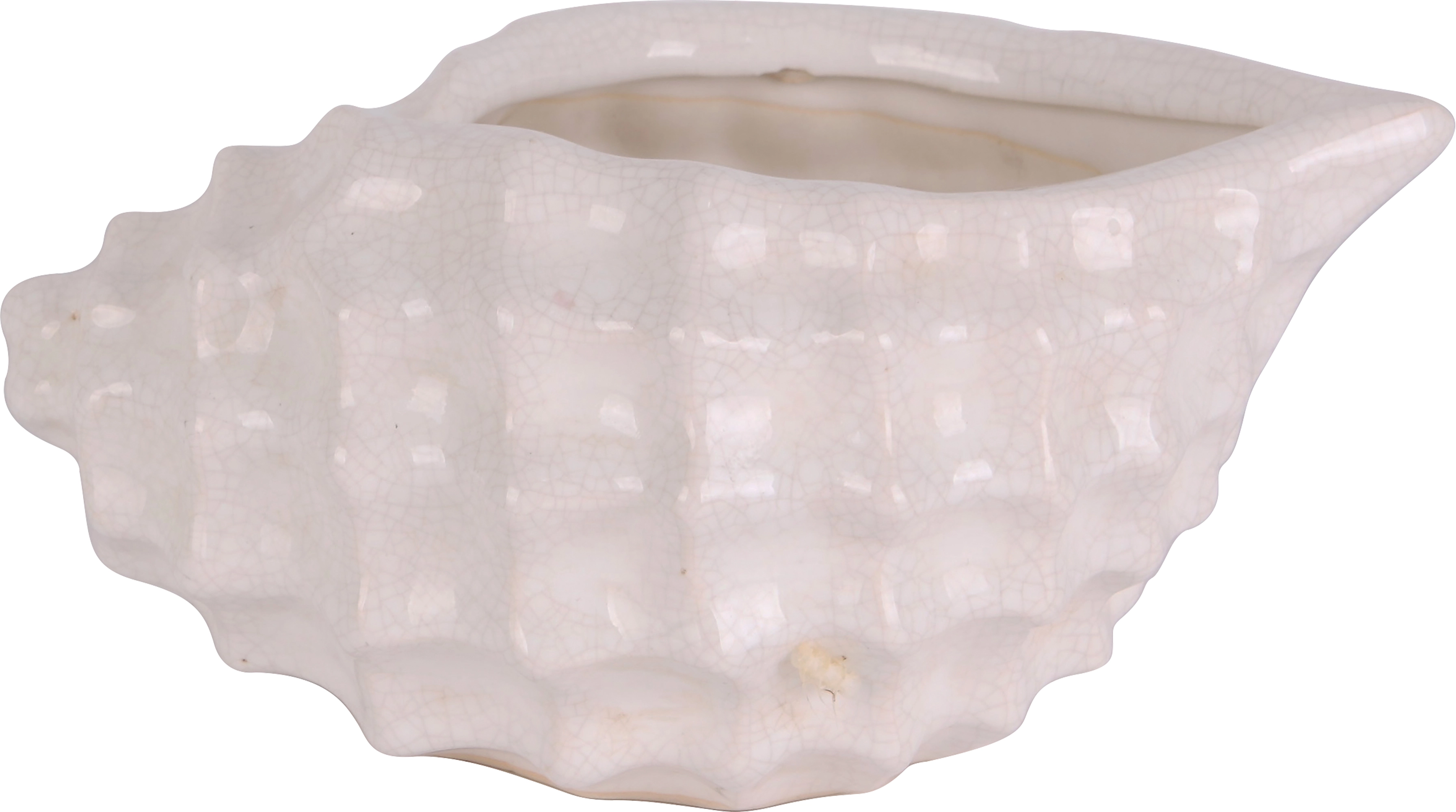 Pflanzgefäß Muschel 15 cm x 10,5 OBI x cm kaufen bei 22 cm Weiß