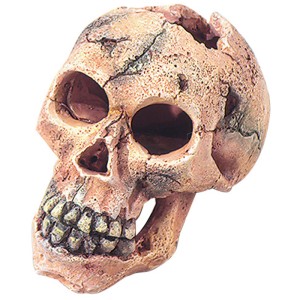 Aqua Della Dekoration Totenkopf S 11 cm