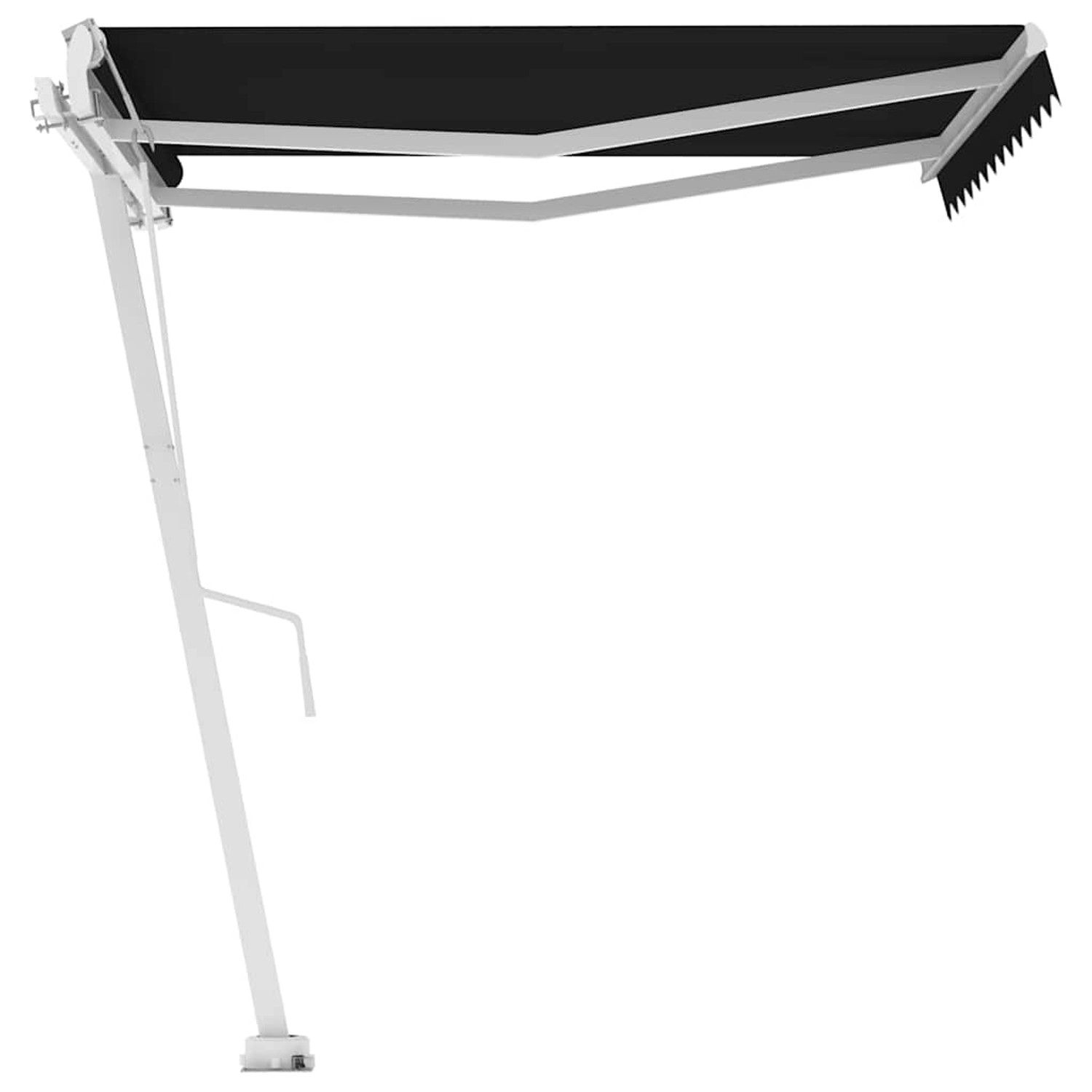 furnicato Standmarkise Automatisch 350x250 cm Anthrazit günstig online kaufen