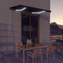 vidaXL Markise Manuell Einziehbar mit LED 350x250 cm Anthrazit 3051244_2