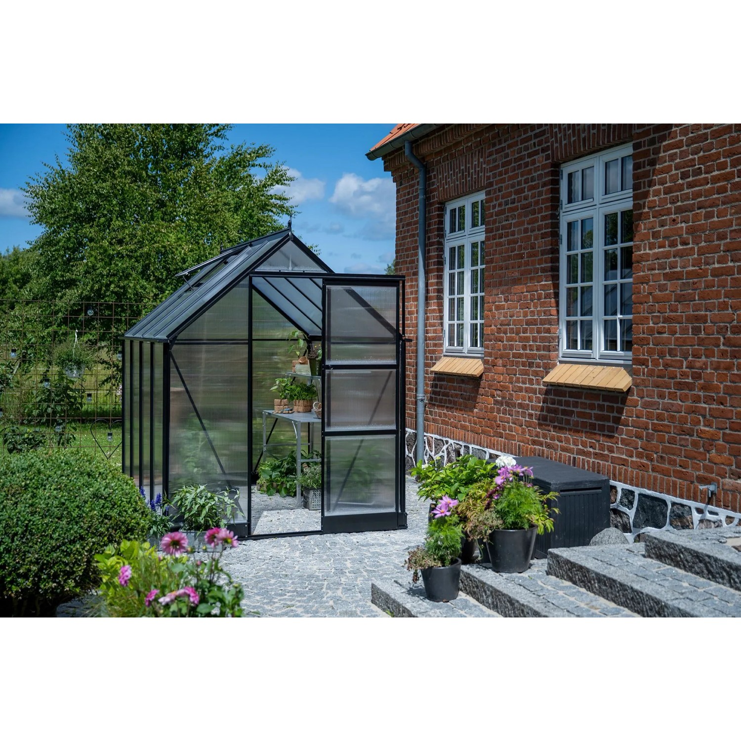 Halls Gewächshaus Icon 6 Schwarz 4,9 m² günstig online kaufen