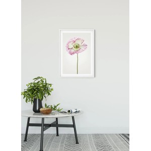 Wandbild Poppy (50x70 cm) mit rosa Mohnblume im weißen Rahmen.