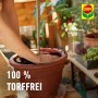 Einpflanzen mit Compo Bio Mediterrane Pflanzenerde (20 l) im Topf.