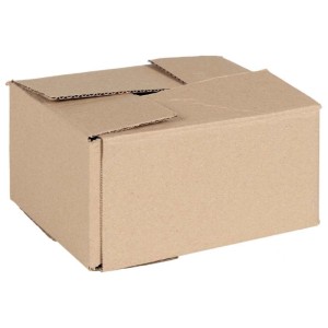 vidaXL Faltbox mit Speicher 50 Stk Natur 20 x 15 x 10 cm Karton 4106563