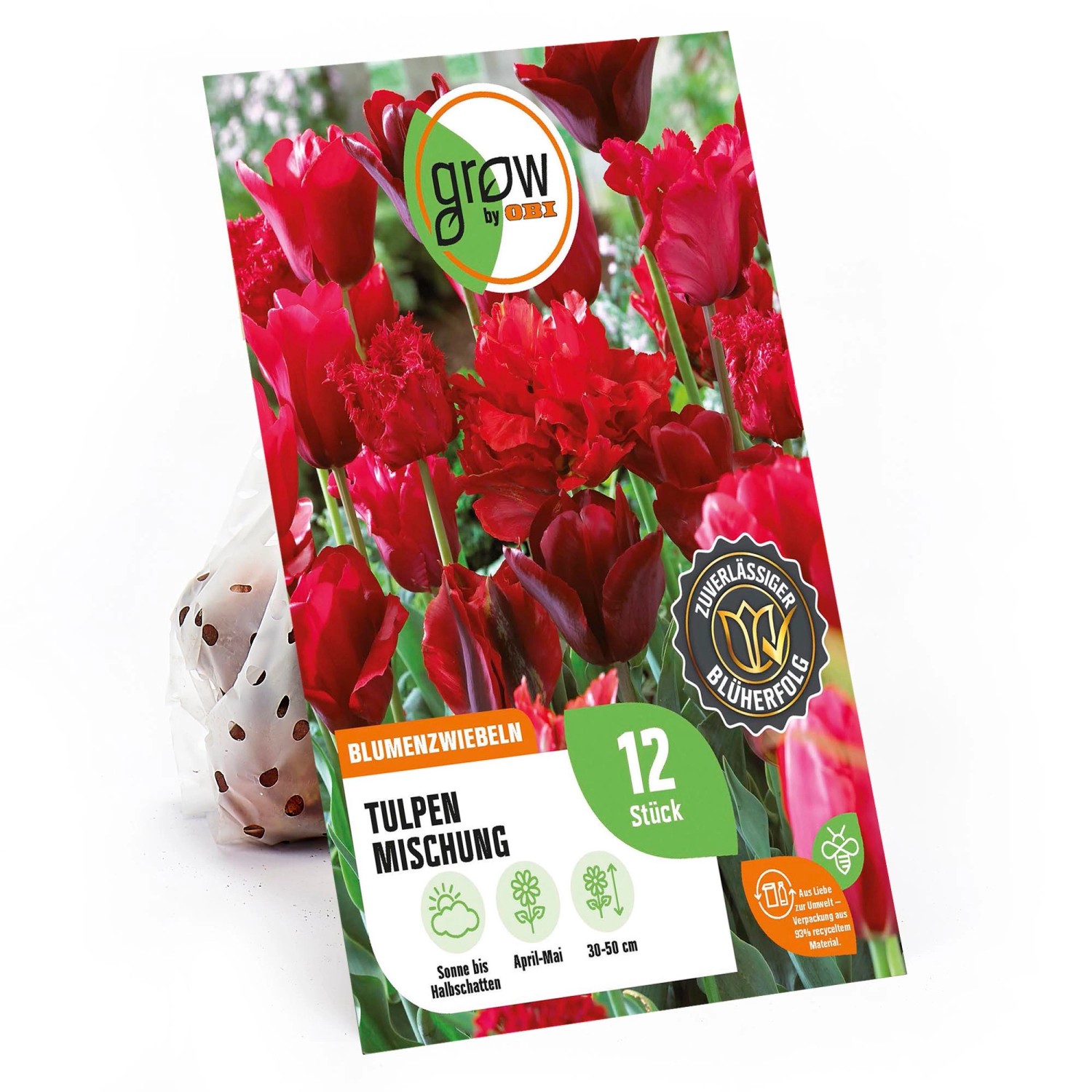 GROW by OBI Tulpen Mischung 4 Sorten 30 - 50 cm Tulipa