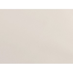 Heller, unifarbener Primaflor PVC Expotop Bodenbelag in Weiß, strapazierfähig und schalldämmend.