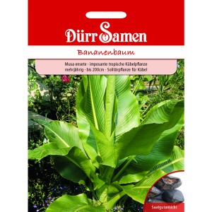 Dürr Samen Bananenbaum: Saatgut-Packung mit Bild der tropischen Pflanze mit großen, grünen Blättern.