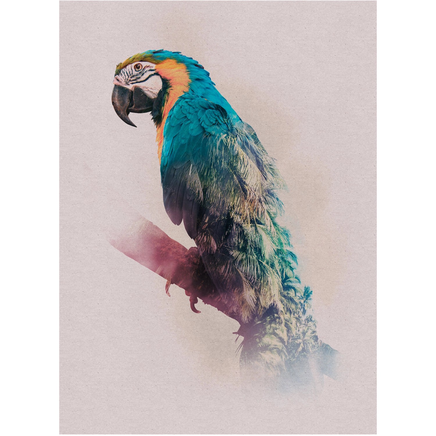 Komar Wandbild Animals Parrot 30 x 40 cm