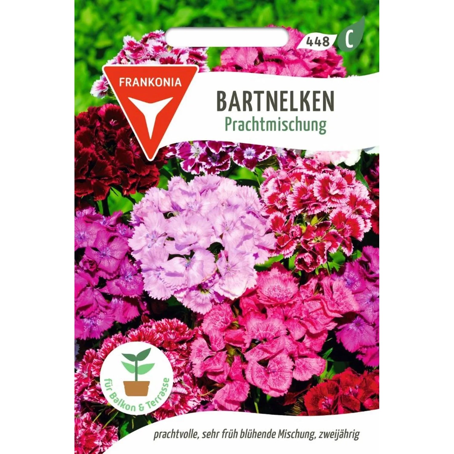 FRANKONIA Bartnelken Prachtmischung