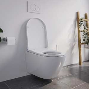 Bernstein Dusch-WC Basic 1102 Weiß Komplettset mit Gesäß- und Ladydusche