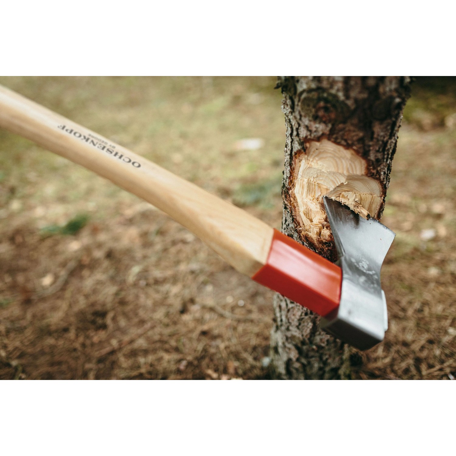 Ochsenkopf Axt spaltet Holz. Universal Gold Axt mit Rotband-Plus Stiel für sicheres Arbeiten.