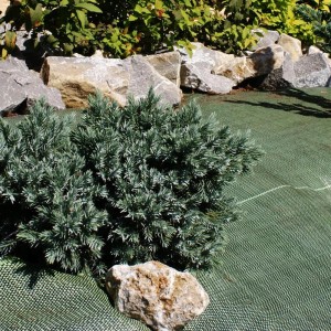 Grüner Unkrautblocker (0,9 m x 10 m) im Gartenbeet mit Steinen und Pflanzen.