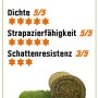 Premium Rollrasen: Rolle und verlegtes Stück mit Bewertung der Eigenschaften.