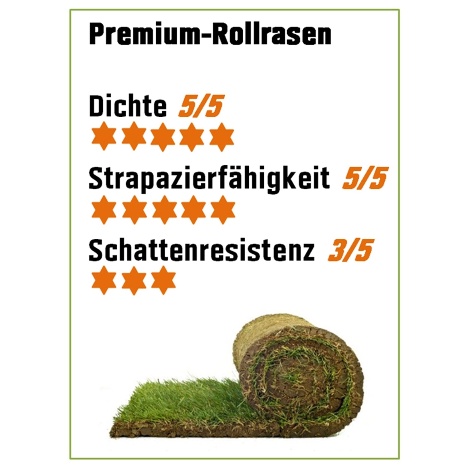 PremiumRollrasen Bestellmenge 50 m² kaufen bei OBI
