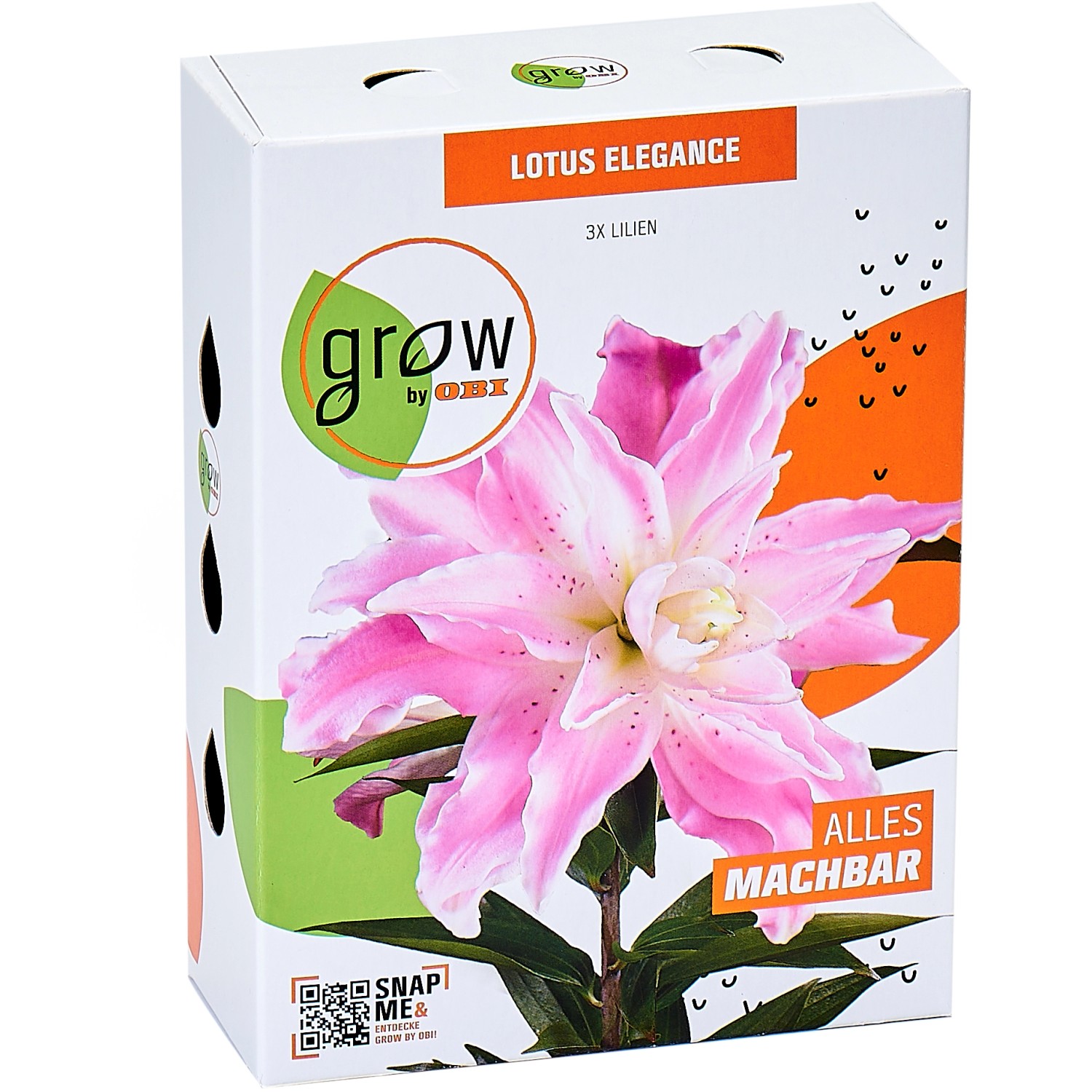 GROW by OBI Lilien "Lotus Elegance" Hellrosa kaufen bei OBI