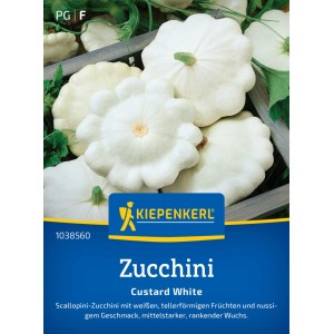 Kiepenkerl Zucchini Custard White Saatgut mit tellerförmigen, weißen Früchten.