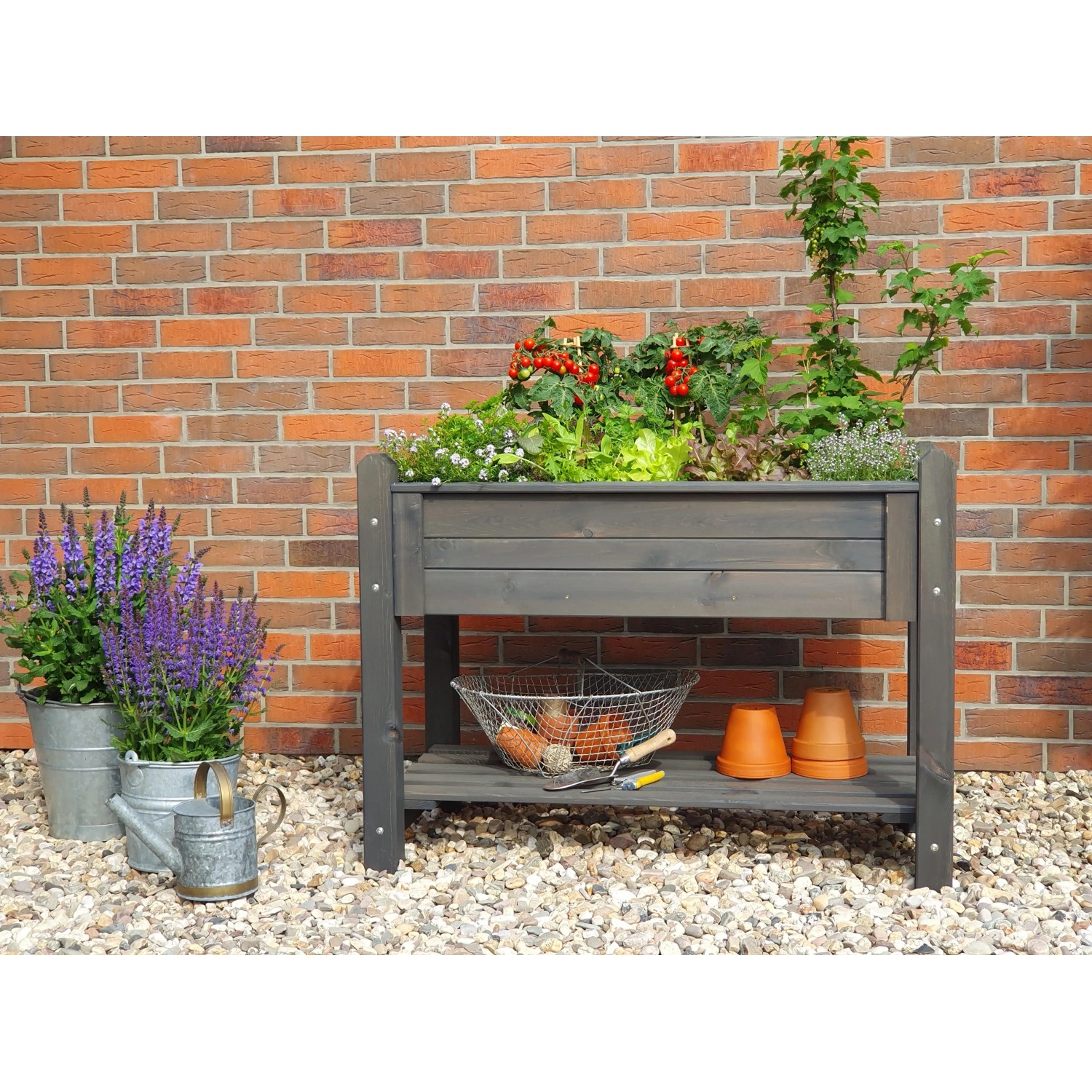 Graues Promadino Kräuterbeet aus Kiefernholz, bepflanzt mit Kräutern und Gemüse, mit Ablage für Gartenzubehör.