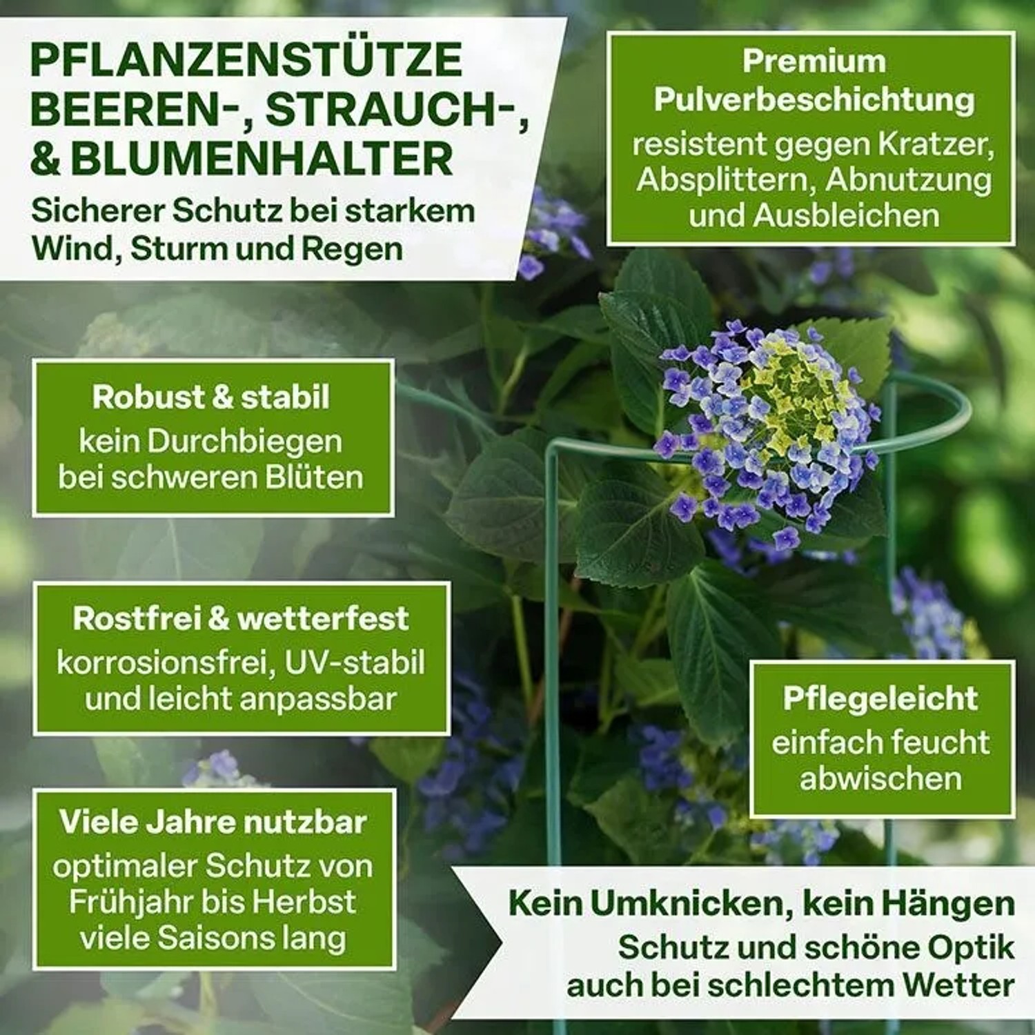 TTL GARDEN Strauchstütze 70x40cm 3er Set Pflanzenhalter für Stauden Sträucher Rosen Rankhilfe aus Metall_4