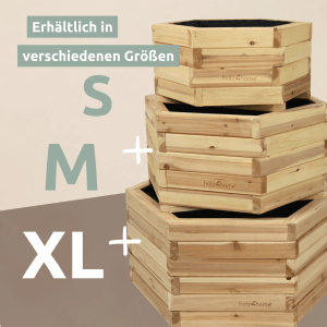 holz4home Pflanzenkübel 6eckig aus Tannenholz, verschiedene Größen (S, M, XL).