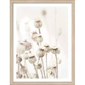 Pro Art Bild Framed Art Dried Poppies, 40x30 cm, Mohnblumen im Holzrahmen.