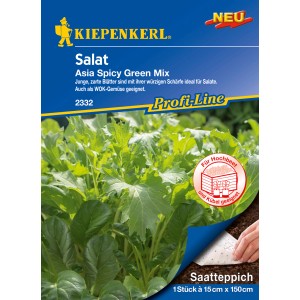 Kiepenkerl Salat Asia Spicy Green Mix Saatteppich mit grünen Salatblättern.