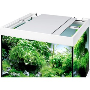 Eheim Aquarium-Kombination VivalineLED 150 in Eiche-Grau mit Pflanzen.