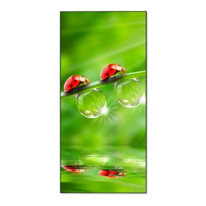 Banjado Magnettafel mit Motiv 'Für Jeden Einen': Marienkäfer auf Grashalm mit Tautropfen, 37x78cm.