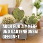 Verschiedene Kakteen in Töpfen, geeignet für Zimmer- und Gartenbonsai. Compo Kakteendünger.