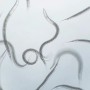 Nematoden gegen Engerlinge (nema-green) zur biologischen Schädlingsbekämpfung im Garten.