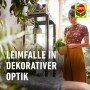 Frau mit Zimmerpflanze, Compo BIO Gelbsticker im Hintergrund. Ungeziefer-Bekämpfung im Haus.