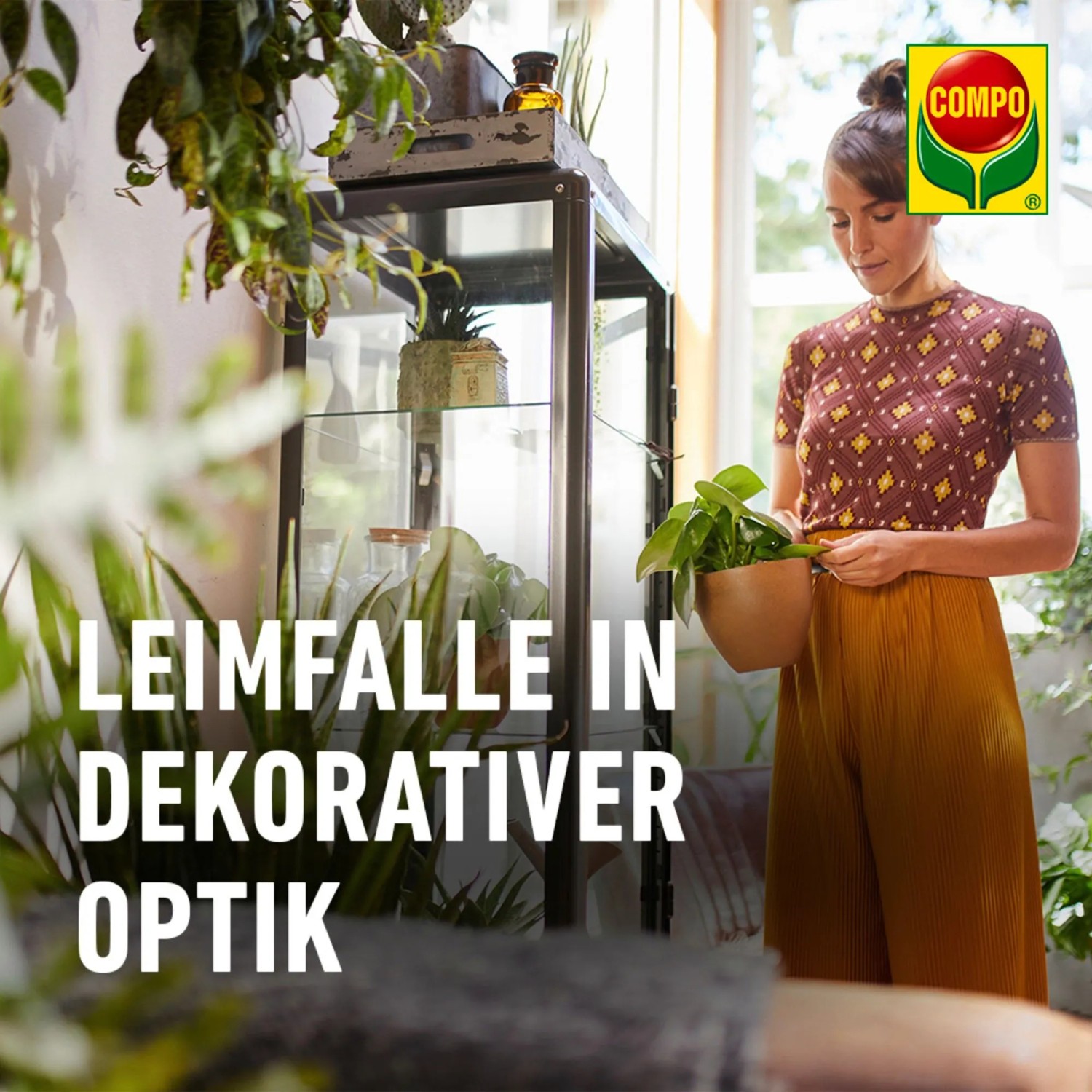Frau mit Zimmerpflanze, Compo BIO Gelbsticker im Hintergrund. Ungeziefer-Bekämpfung im Haus.