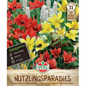 Sperli Blumenzwiebel Frühlingsgarten Nützlingsparadies mit roten, gelben und weißen Blüten.