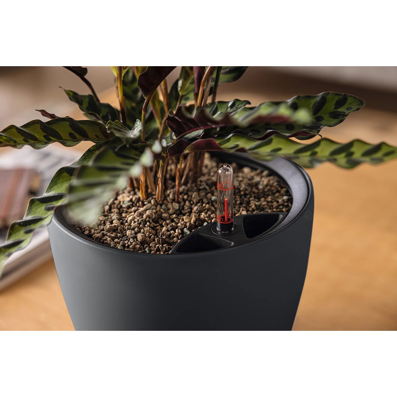 Lechuza Classico Color LS 21, schiefergraues Pflanzgefäß mit Bewässerungssystem, Ø 22 cm.