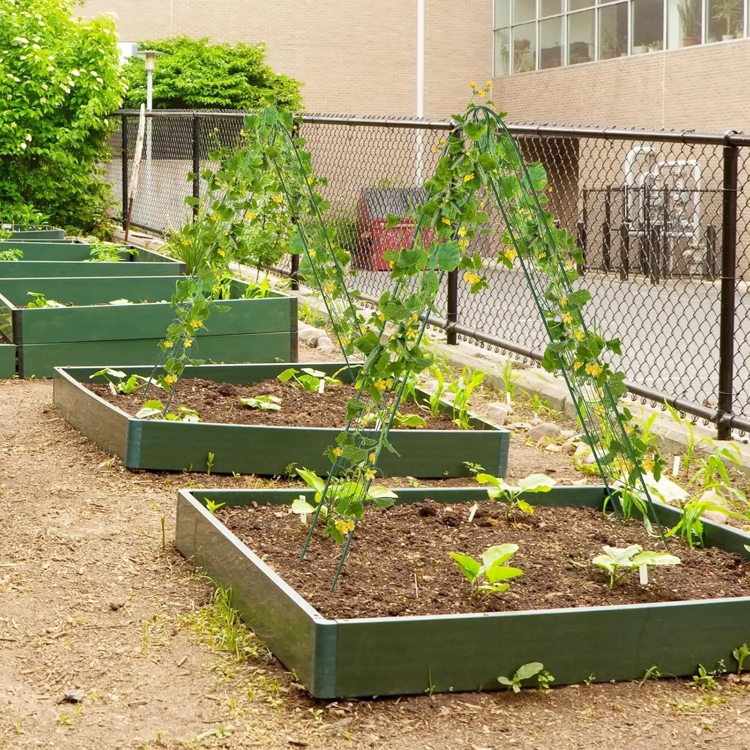 Grünes Metall Rankgitter 2er Set als Pflanzenstütze in Hochbeeten. Ideal für Kletterpflanzen und Gartenzaun.