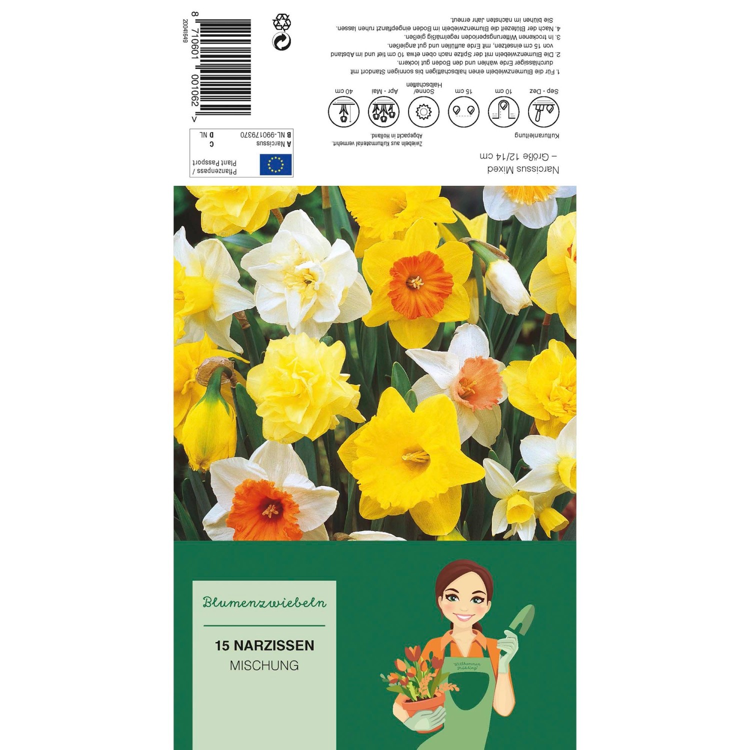 Narzissen Mischung mit gelben, weißen und orangefarbenen Blüten, 15 Stück Blumenzwiebeln.