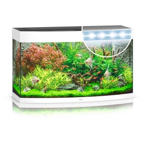 Weißes Juwel Vision 180 LED Aquarium-Set, bepflanzt und mit Fischen.