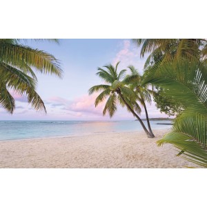 Komar Fototapete Vlies Paradise Morning: Strand mit Palmen und rosa Himmel, 400x250 cm.