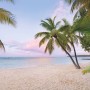 Komar Fototapete Vlies Paradise Morning: Strand mit Palmen und rosa Himmel, 400x250 cm.