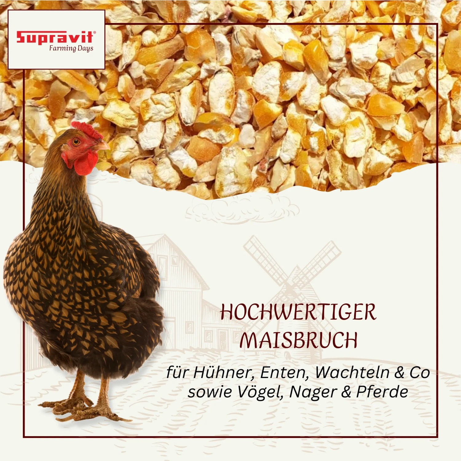 Supravit Maisbruch Mais Einzelfutter oder Mischfutter für Hühner_2