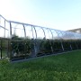 Langes Klasika Arch Gewächshaus 30m² mit Polycarbonatabdeckung im Garten.