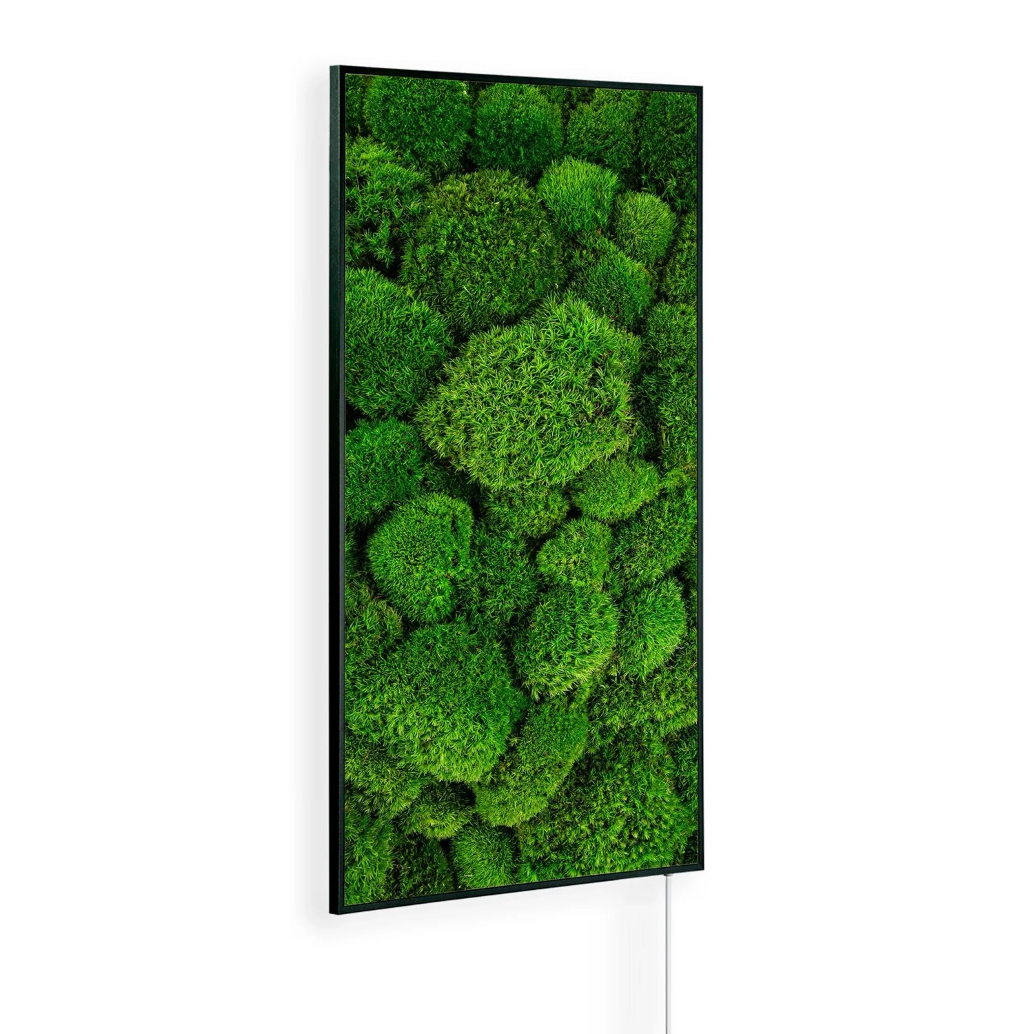 Könighaus Infrarotheizung Moos Ambient Edition 800 W Schwarz