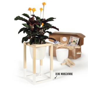 DIY Pflanzständer Set von CREATE! by OBI mit Pflanze im weißen Topf und Zubehör.