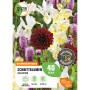 GROW by OBI Schnittblumen-Kollektion mit bunten Blumen wie Dahlien, Gladiolen und Iris.
